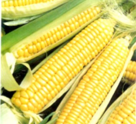 Cum se face delapidarea: opreşti pe drum şi vinzi din marfa altuia!